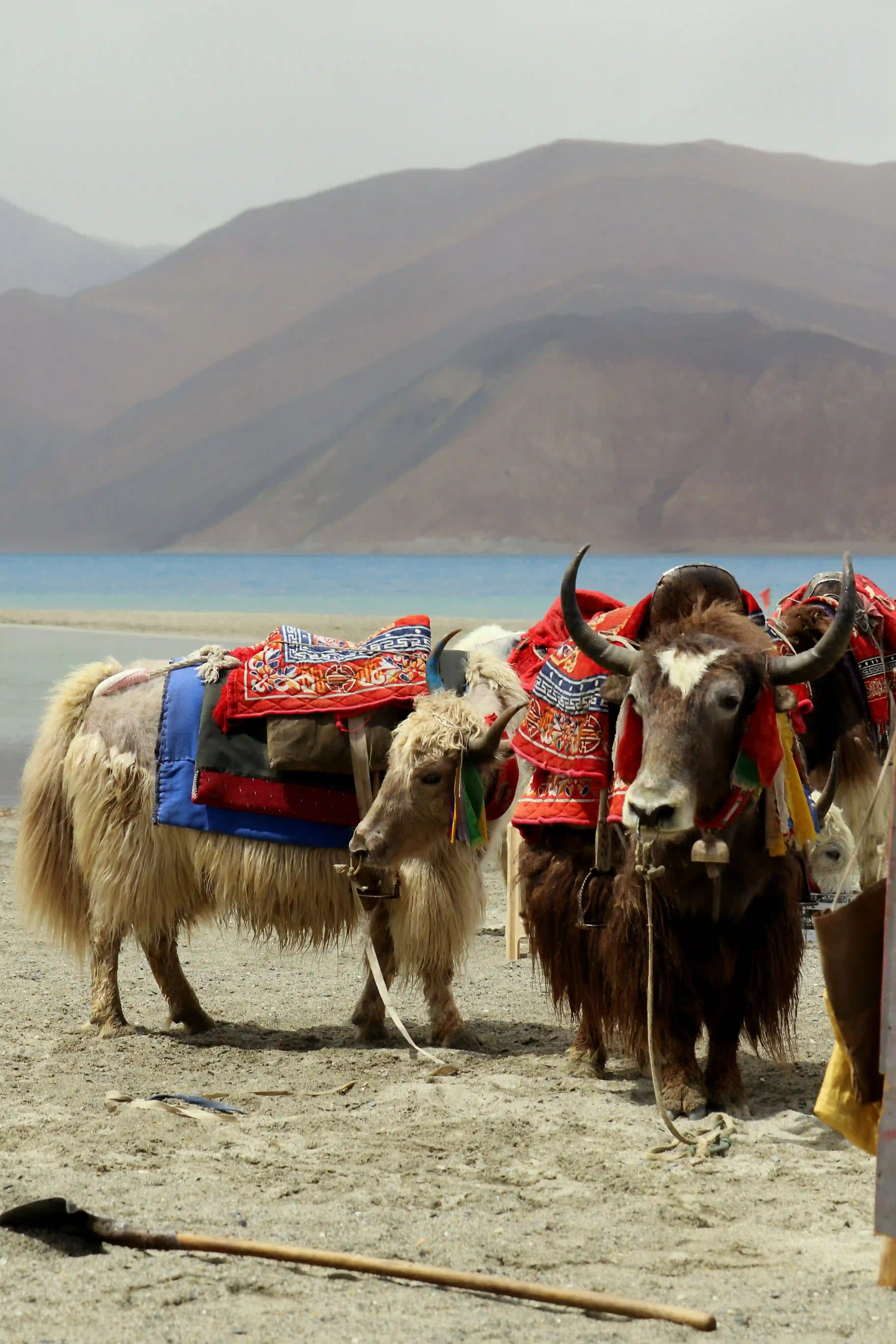 Ladakh