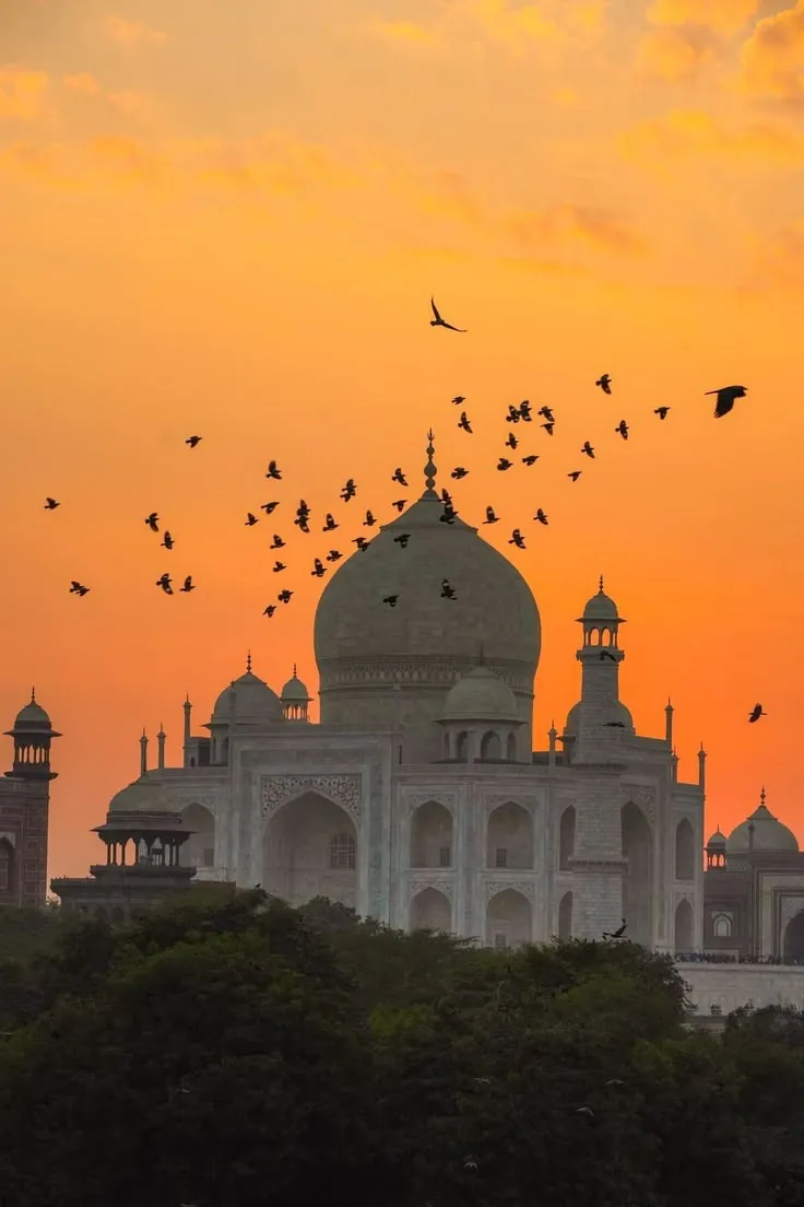 The Taj Mahal in silhouette against an orange sky with birds in flight